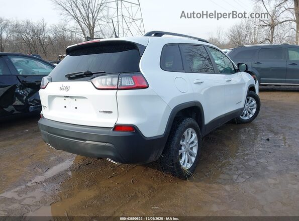 1C4PJMMN2ND541365 2022 JEEP CHEROKEE White უკანა მარჯვენა