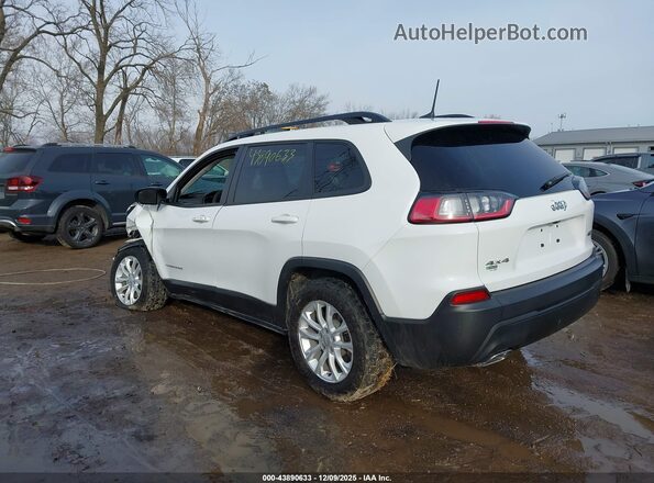 1C4PJMMN2ND541365 2022 JEEP CHEROKEE White უკანა მარცხენა