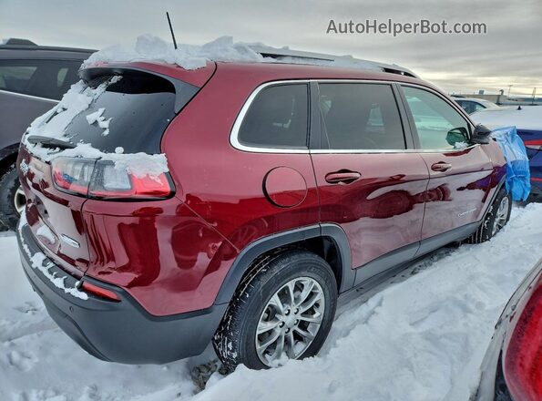 1C4PJMMX2MD191154 2021 JEEP CHEROKEE Red Tył prawy