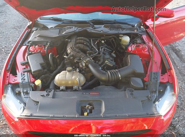1FA6P8AM0G5326437 2016 FORD MUSTANG Red Vista trasera