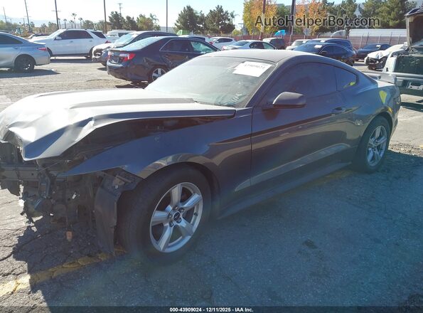 1FA6P8AM5H5317007 2017 FORD MUSTANG Gray 