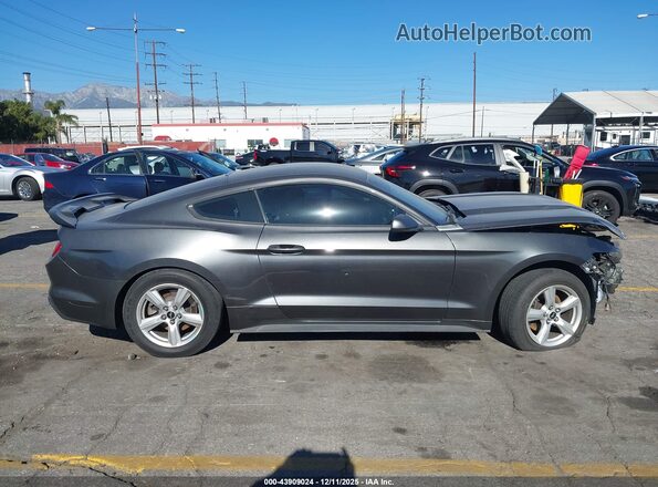 1FA6P8AM5H5317007 2017 FORD MUSTANG Gray 