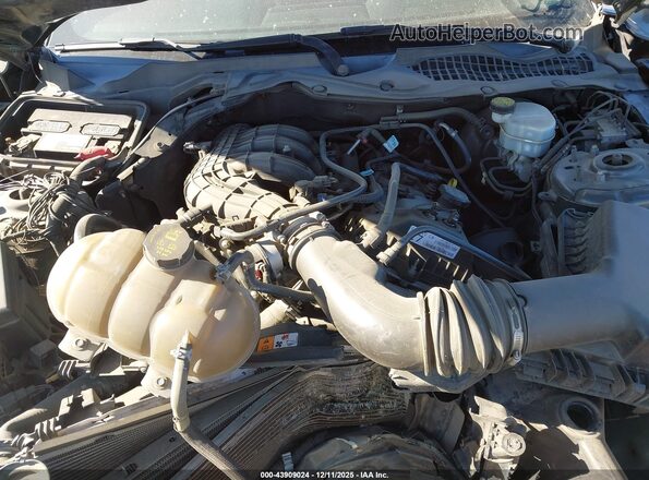 1FA6P8AM5H5317007 2017 FORD MUSTANG Gray 