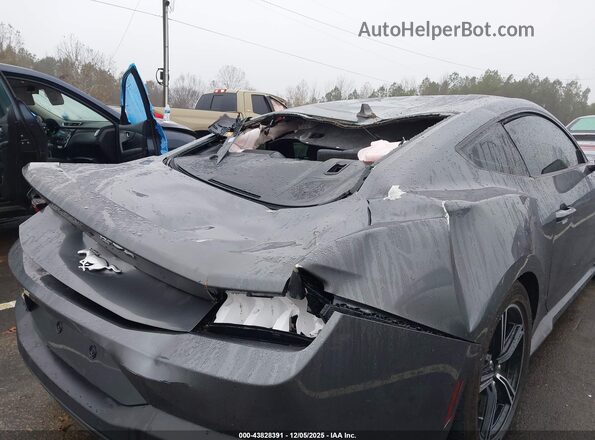 1FA6P8TH5R5107136 2024 FORD MUSTANG Серый 