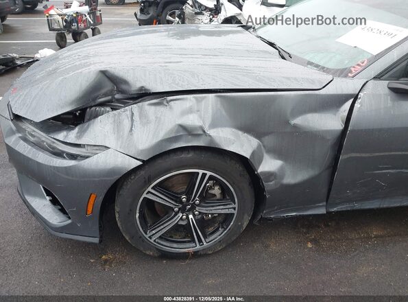 1FA6P8TH5R5107136 2024 FORD MUSTANG Серый 