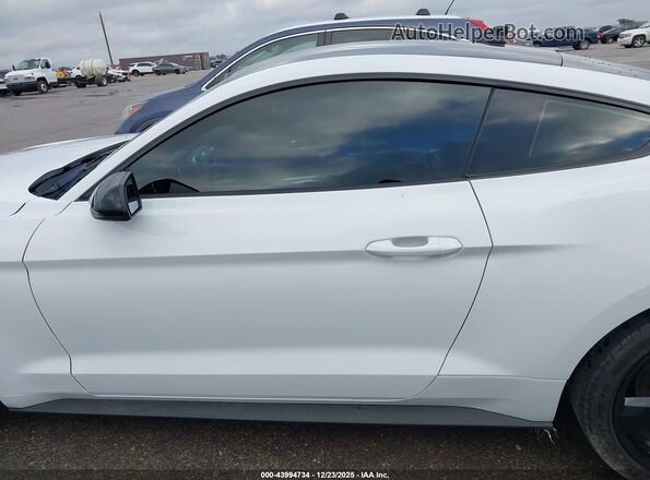 1FA6P8TH7P5111959 2023 FORD MUSTANG Белый 