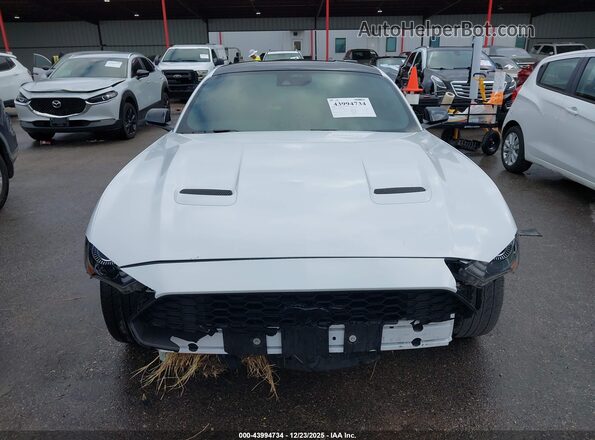 1FA6P8TH7P5111959 2023 FORD MUSTANG Белый Вид задней части салона