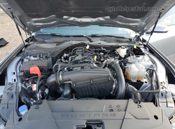 1FA6P8TH8S5116869 2025 FORD MUSTANG Silver Սալոնի հետևի տեսք