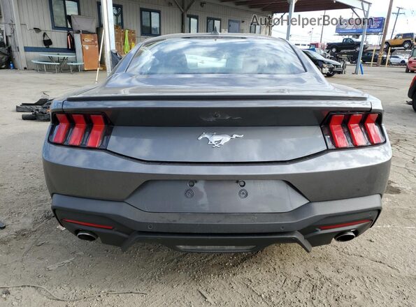 1FA6P8THXR5113112 2024 FORD MUSTANG Gray Widok z tyłu