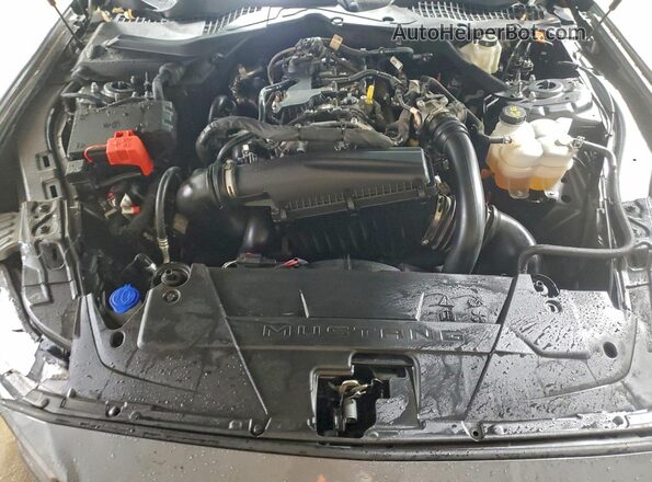 1FAGP8UH5R5132864 2024 FORD MUSTANG Gray Rear interior view