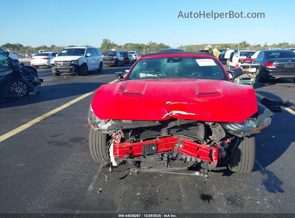 1FATP8UH0M5116367 2021 FORD MUSTANG Red 