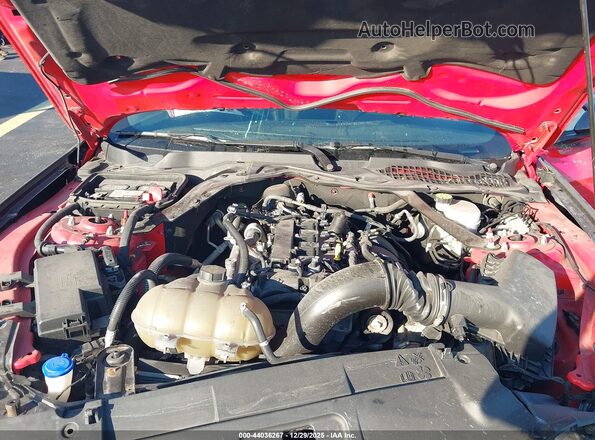 1FATP8UH0M5116367 2021 FORD MUSTANG Red 