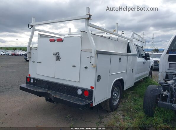 1FD7X2AA9REE90320 2024 FORD F-250 White Հետևի աջ