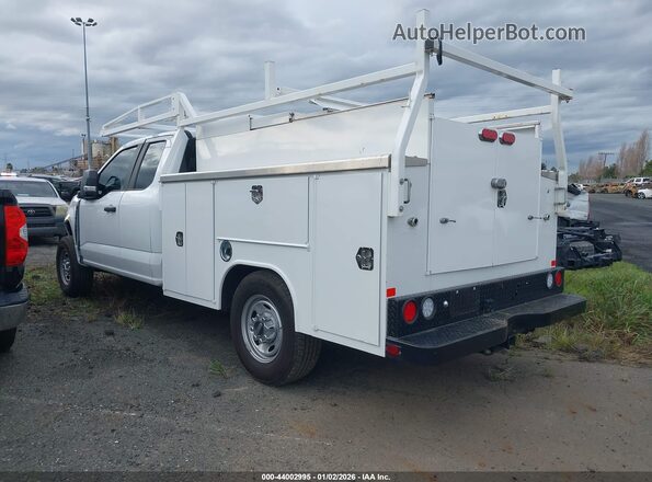 1FD7X2AA9REE90320 2024 FORD F-250 White Հետևի ձախ