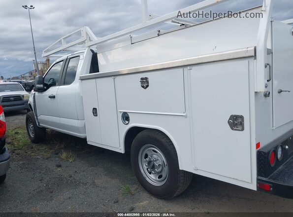 1FD7X2AA9REE90320 2024 FORD F-250 White 