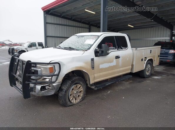 1FD7X2B64NEE94120 2022 FORD SUPER DUTY F-250 White 