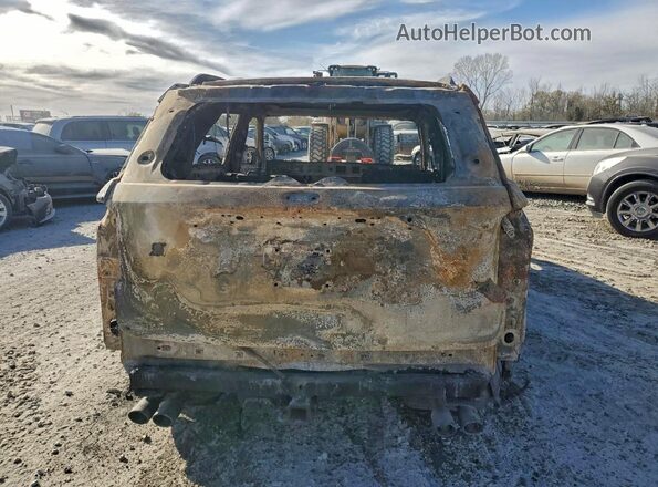 1FM5K8GC2LGA04377 2020 FORD FORD EXPLORER Burn Widok z tyłu