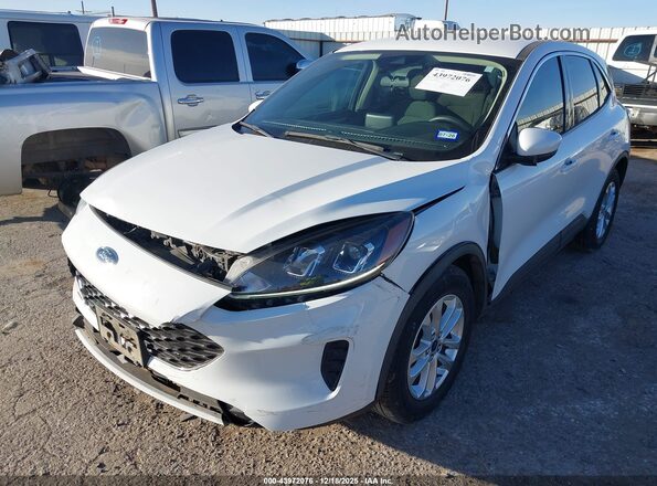 1FMCU0G67LUB92084 2020 FORD ESCAPE White Front view