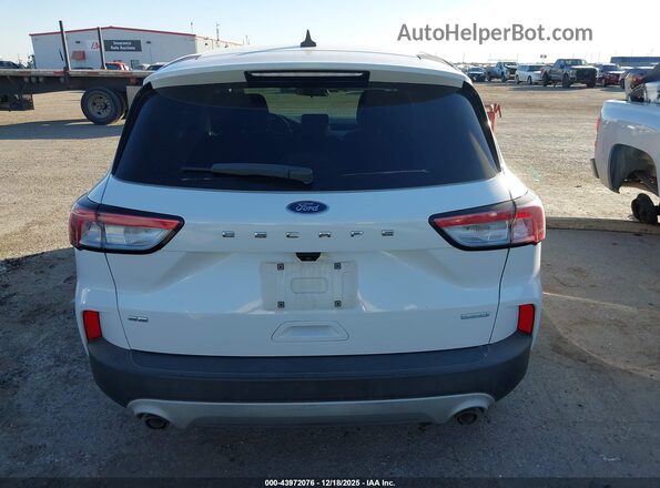 1FMCU0G67LUB92084 2020 FORD ESCAPE White 