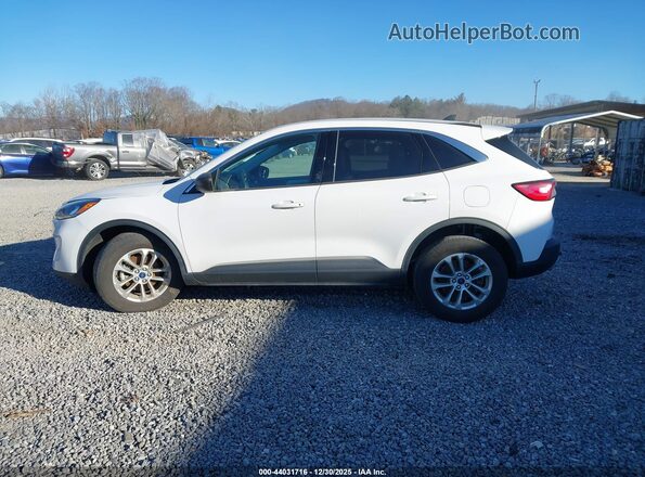 1FMCU9G6XNUB16592 2022 FORD ESCAPE Белый 