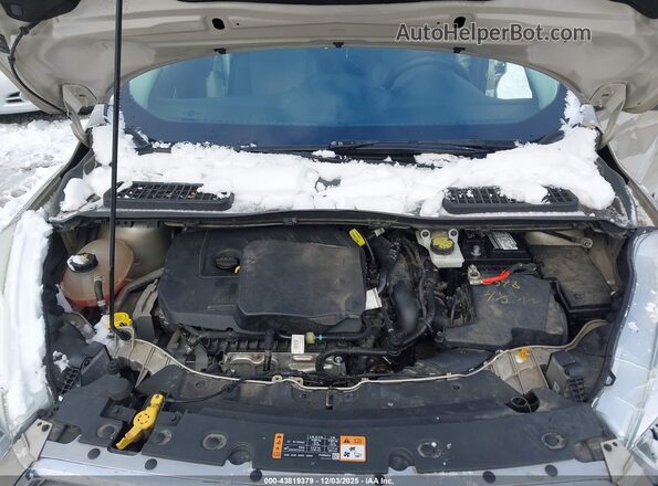 1FMCU9GD7HUC21352 2017 FORD ESCAPE Tan Widok z tyłu