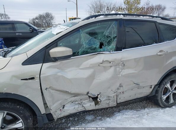 1FMCU9GD7HUC21352 2017 FORD ESCAPE Tan Widok z przodu
