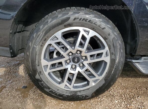 1FMJK1J80SEA16063 2025 FORD EXPEDITION Черный 