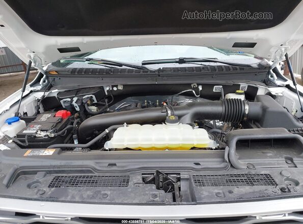 1FMJK1M89PEA37237 2023 FORD EXPEDITION White Widok z tyłu