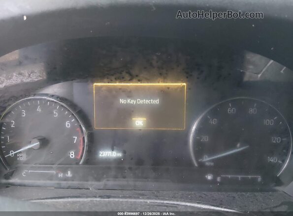 1FMSK8DH1RGA55218 2024 FORD FORD EXPLORER Красный Вид задних сидений