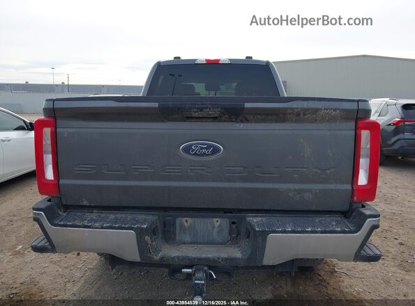 1FT7W2BT4SEC53277 2025 FORD F-250 Gray 