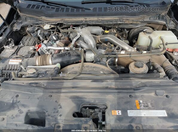 1FT7W2BT4SEC53277 2025 FORD F-250 Gray Widok z tyłu