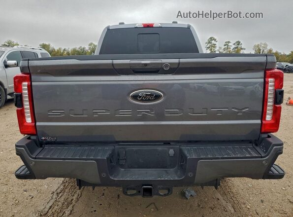 1FT8W2BT6REE15392 2024 FORD F250 Gray უკანა ხედი
