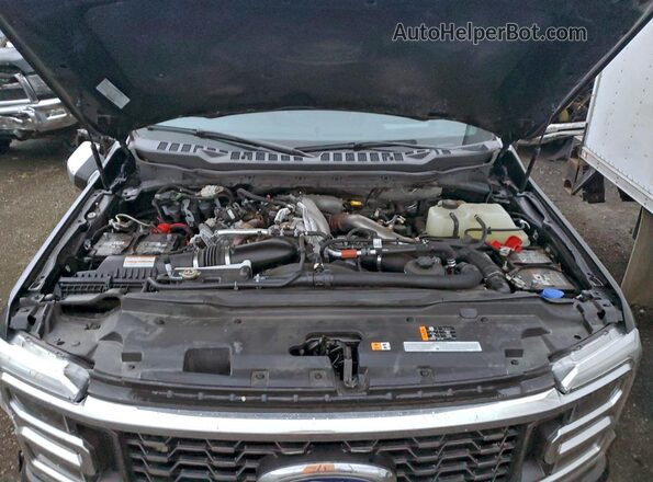 1FT8W4DM0REC84137 2024 FORD F450 Black Rear interior view
