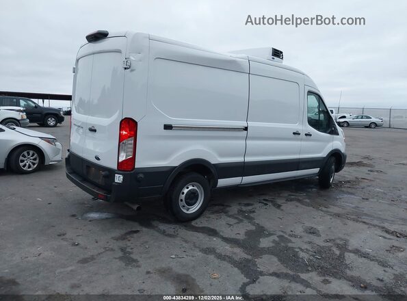 1FTBR1C82PKB17177 2023 FORD TRANSIT-250 White Հետևի աջ