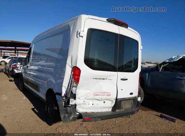 1FTBR1C89PKA59911 2023 FORD TRANSIT-250 White Widok z przodu