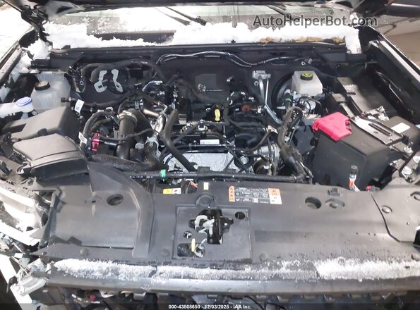 1FTER4HH2RLE70734 2024 FORD RANG Black Widok z tyłu