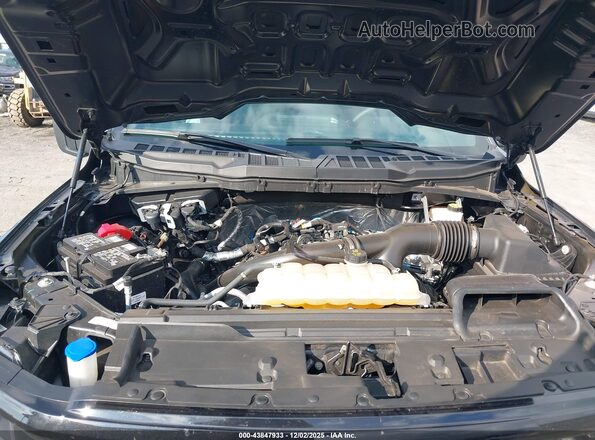 1FTEW2LP9RKF04556 2024 FORD F150 Gray Rear view