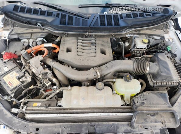 1FTFW1ED4PFB40425 2023 FORD F150 White უკანა სალონის ხედი