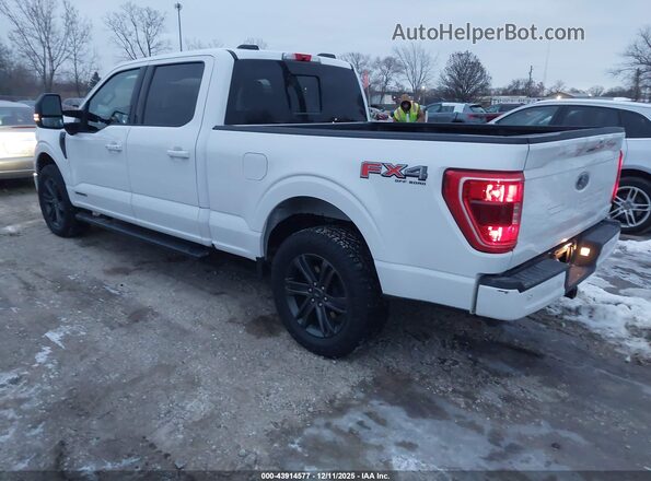 1FTFW1ED6NFB81636 2022 FORD F150 White უკანა მარცხენა