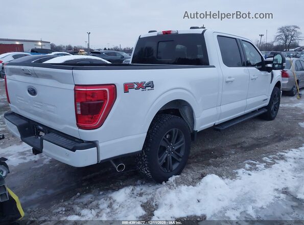 1FTFW1ED6NFB81636 2022 FORD F150 White უკანა მარჯვენა