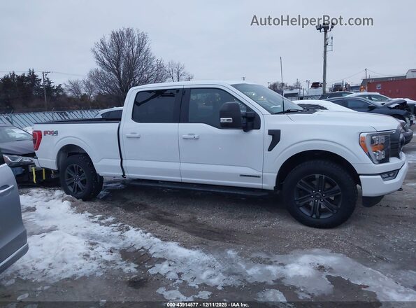 1FTFW1ED6NFB81636 2022 FORD F150 White უკანა სალონის ხედი