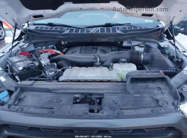 1FTFW1ED6NFB81636 2022 FORD F150 White უკანა ხედი