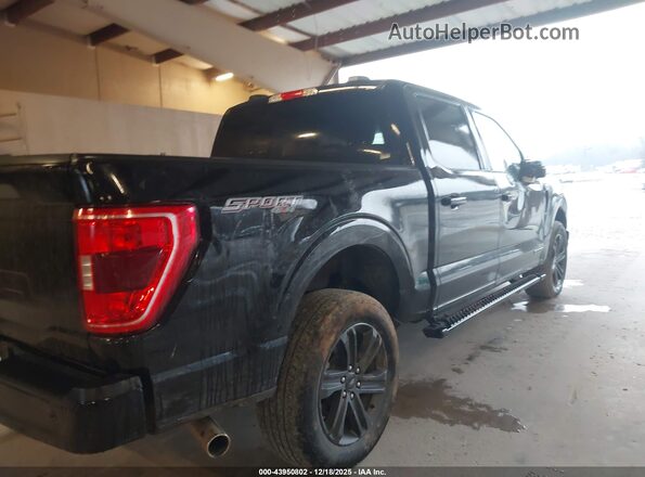 1FTFW1ED9PFC45381 2023 FORD F150 Black Rear right