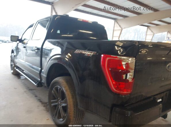 1FTFW1ED9PFC45381 2023 FORD F150 Black Rear left