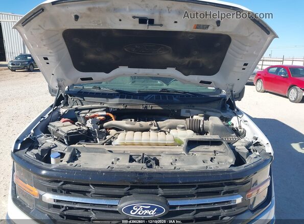1FTFW3LD2RFA27204 2024 FORD F150 White Вид ззаду
