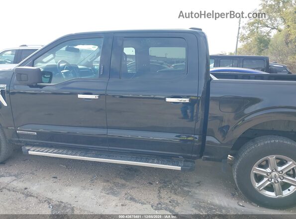 1FTFW3LDXRFA72259 2024 FORD F150 Black Widok wnętrza 360 stopni