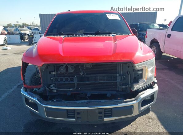 1FTMF1CB7JKC15898 2018 FORD F150 Red 