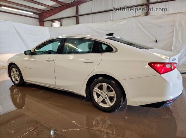 1G1ZC5ST7MF087684 2021 CHEVROLET MALIBU White Tył lewy