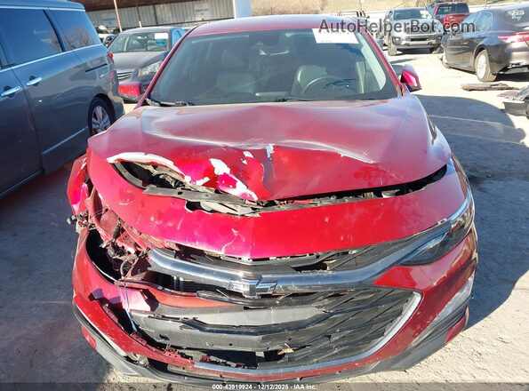 1G1ZD5ST4MF045504 2021 CHEVROLET MALIBU Red 