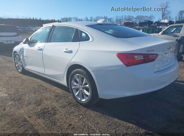 1G1ZD5ST4RF151426 2024 CHEVROLET MALIBU White Trasero izquierdo